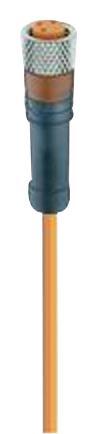 RKMV 4-07/2 M LEAD,PVC, M8 SKT-FREE END, 4P, 2M LUMBERG AUTOMATION