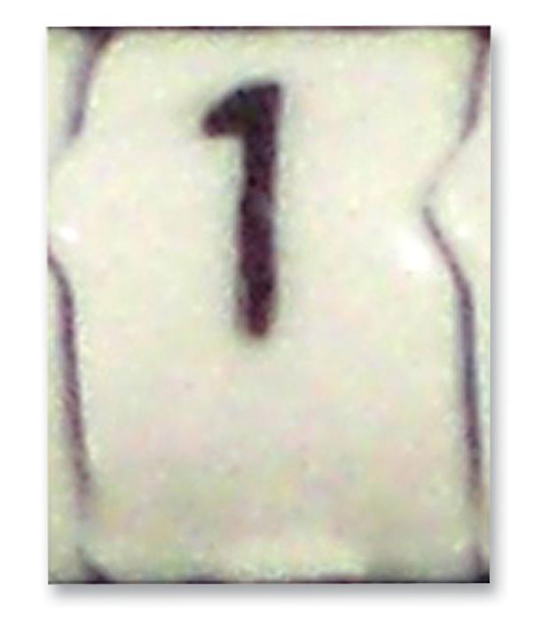 STD15W-1 CABLE MARKER, E, SIZE15, 1, PK50 RAYCHEM - TE CONNECTIVITY