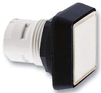 1.30.070.501/0000 PUSHBUTTON RAFI